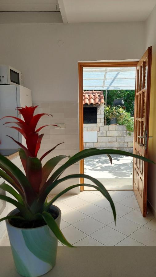 Apartmani Matea Zaton  Εξωτερικό φωτογραφία